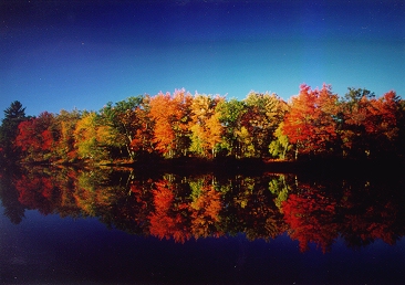 Ossippee River in the Fall